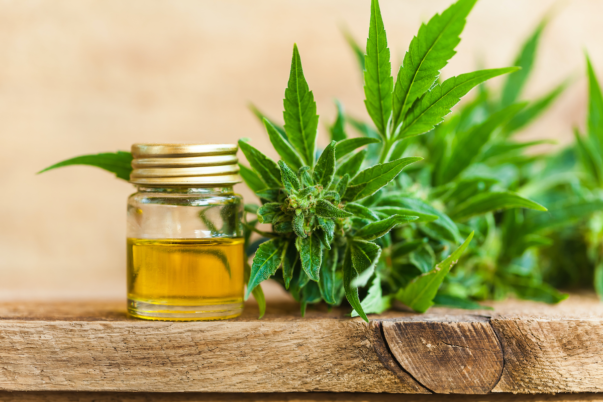L’interdiction de la vente de CBD : les boutiques spécialisées sont-elles vouées à fermer ?