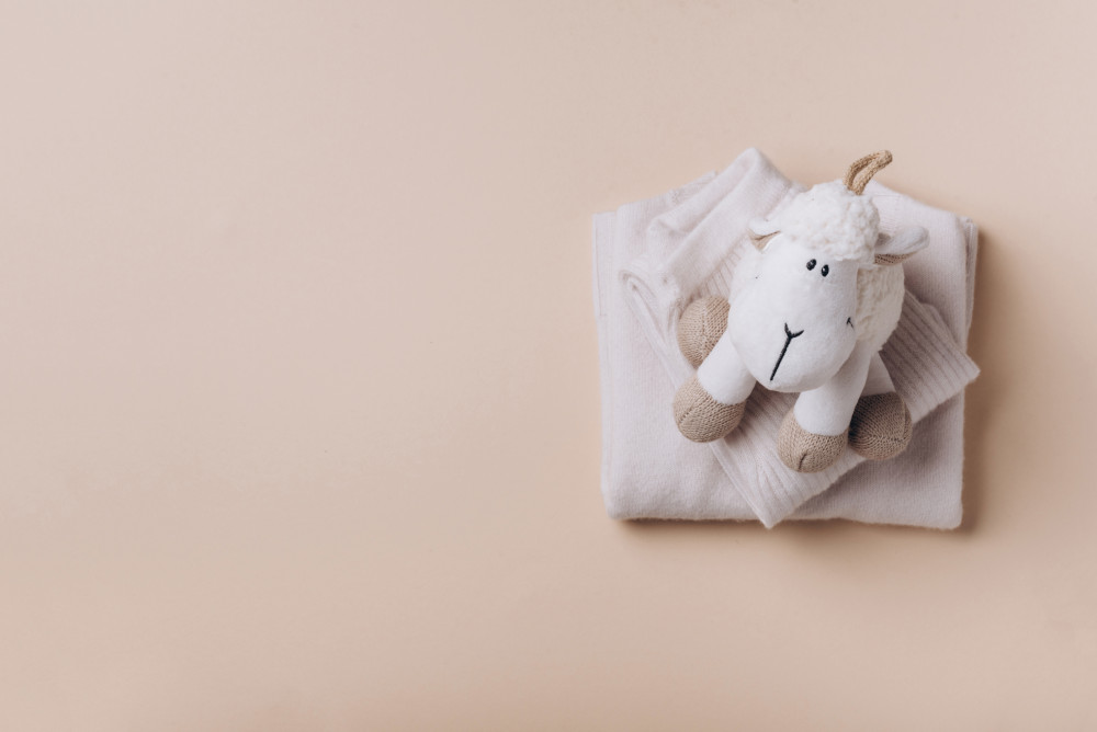 Donation chez le notaire : tout ce que vous devez savoir